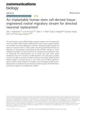 An Implantable Human Stem Cell-Derived Tissue-Engineered