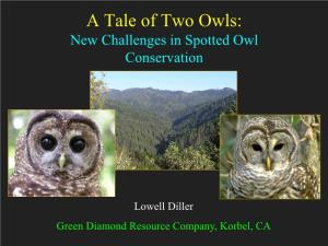 Barred Owl Presentation