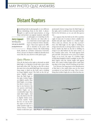 Distant Raptors