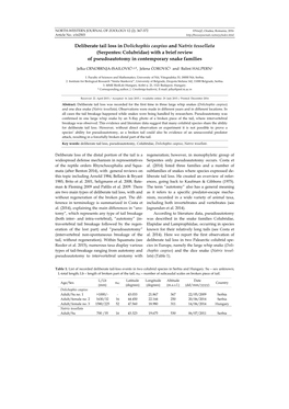 Deliberate Tail Loss in Dolichophis Caspius and Natrix Tessellata (Serpentes: Colubridae) with a Brief Review of Pseudoautotomy in Contemporary Snake Families