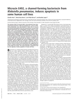 Microcin E492, a Channel-Forming Bacteriocin from Klebsiella Pneumoniae, Induces Apoptosis in Some Human Cell Lines