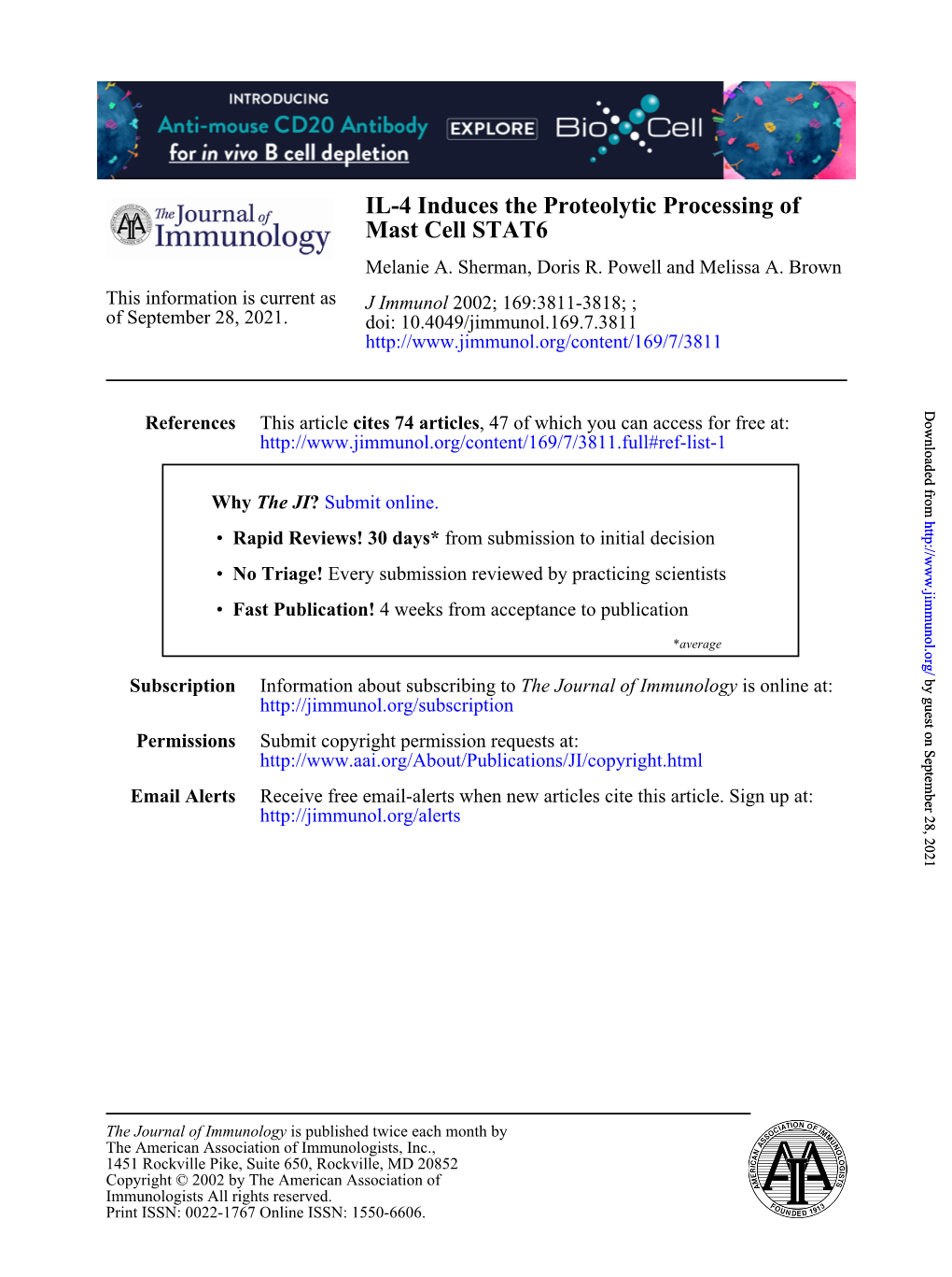 Mast Cell STAT6 IL-4 Induces the Proteolytic Processing Of