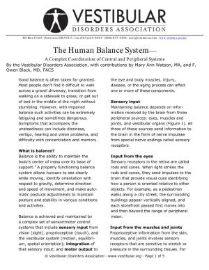 The Human Balance System—