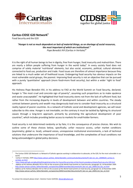 Caritas-CIDSE G20 Network