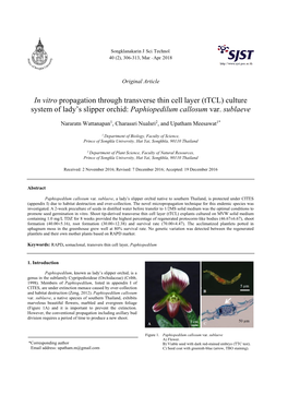 In Vitro Propagation Through Transverse Thin Cell Layer (Ttcl) Culture System of Lady’S Slipper Orchid: Paphiopedilum Callosum Var