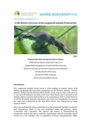 A Life History Overview of the Largetooth Sawfish Pristis Pristis
