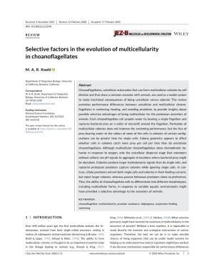 Selective Factors in the Evolution of Multicellularity in Choanoflagellates