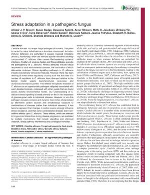 Stress Adaptation in a Pathogenic Fungus