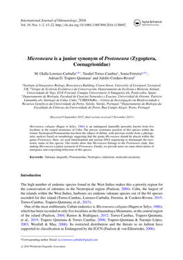 Microneura Is a Junior Synonym of Protoneura (Zygoptera, Coenagrionidae)