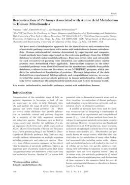 Reconstruction of Pathways Associated with Amino Acid Metabolism in Human Mitochondria