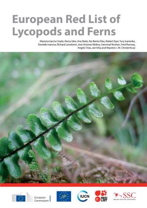 European Lycopods and Ferns
