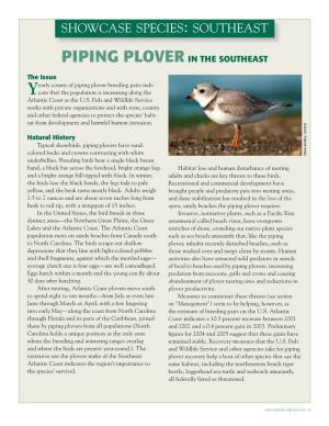 Piping Plover in the Southeast