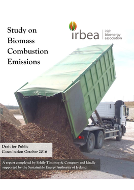 Study on Biomass Combustion Emissions