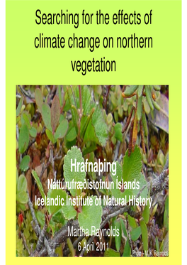 Searching for the Effects of Climate Change on Northern Vegetation