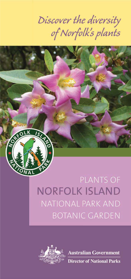 Plants Brochure