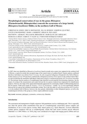 Morphological Conservation of Rays in the Genus Rhinoptera