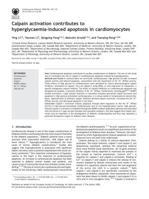 Calpain Activation Contributes to Hyperglycaemia-Induced Apoptosis in Cardiomyocytes