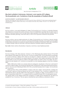 Baccharis Nebularis (Asteraceae, Astereae): a New Species of B