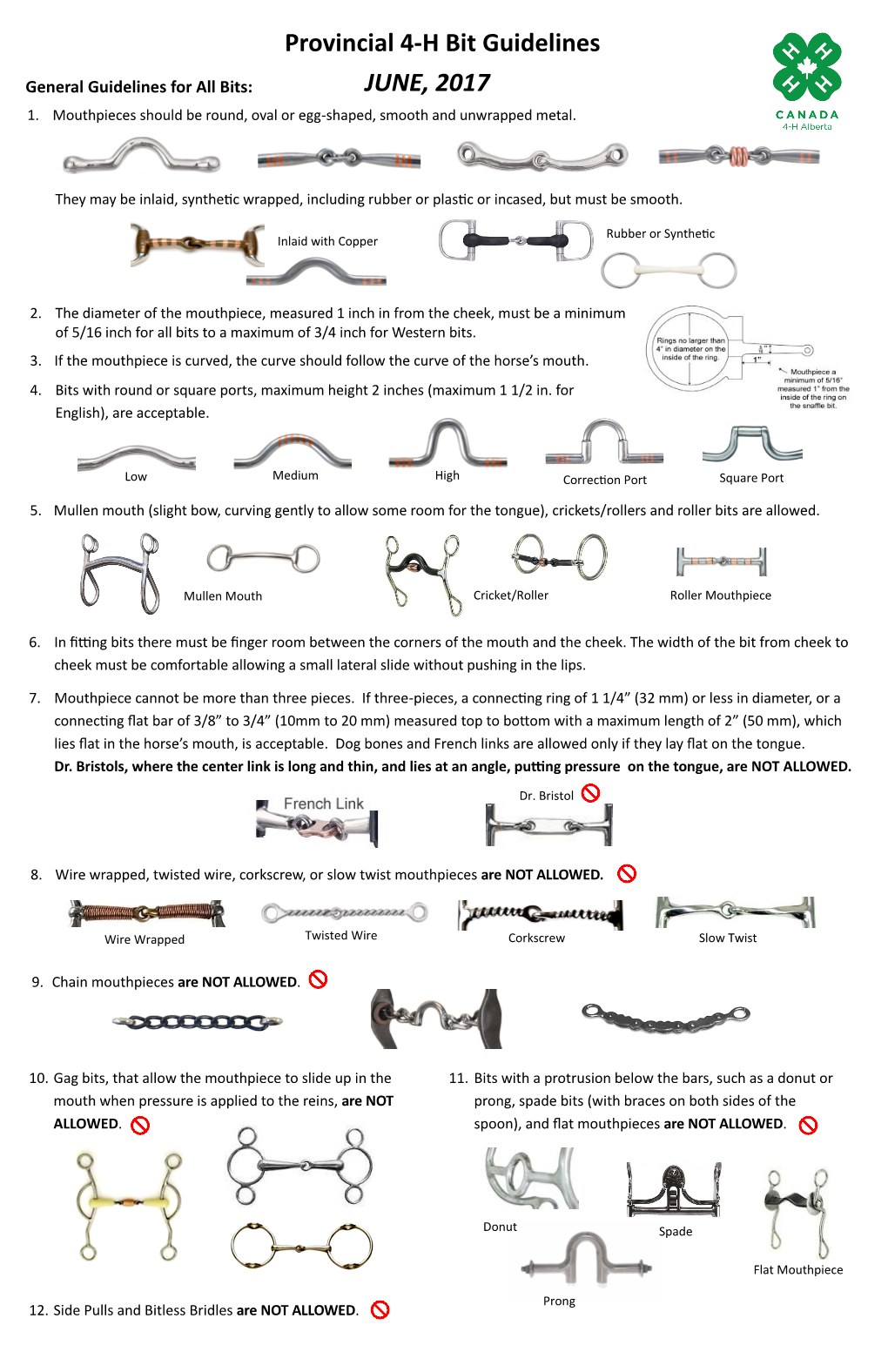 Equine Bit Guidelines