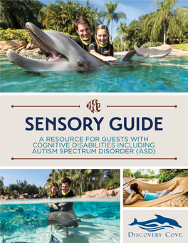 Discovery Cove Sensory Guide