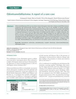 Odontoameloblastoma: a Report of a Rare Case