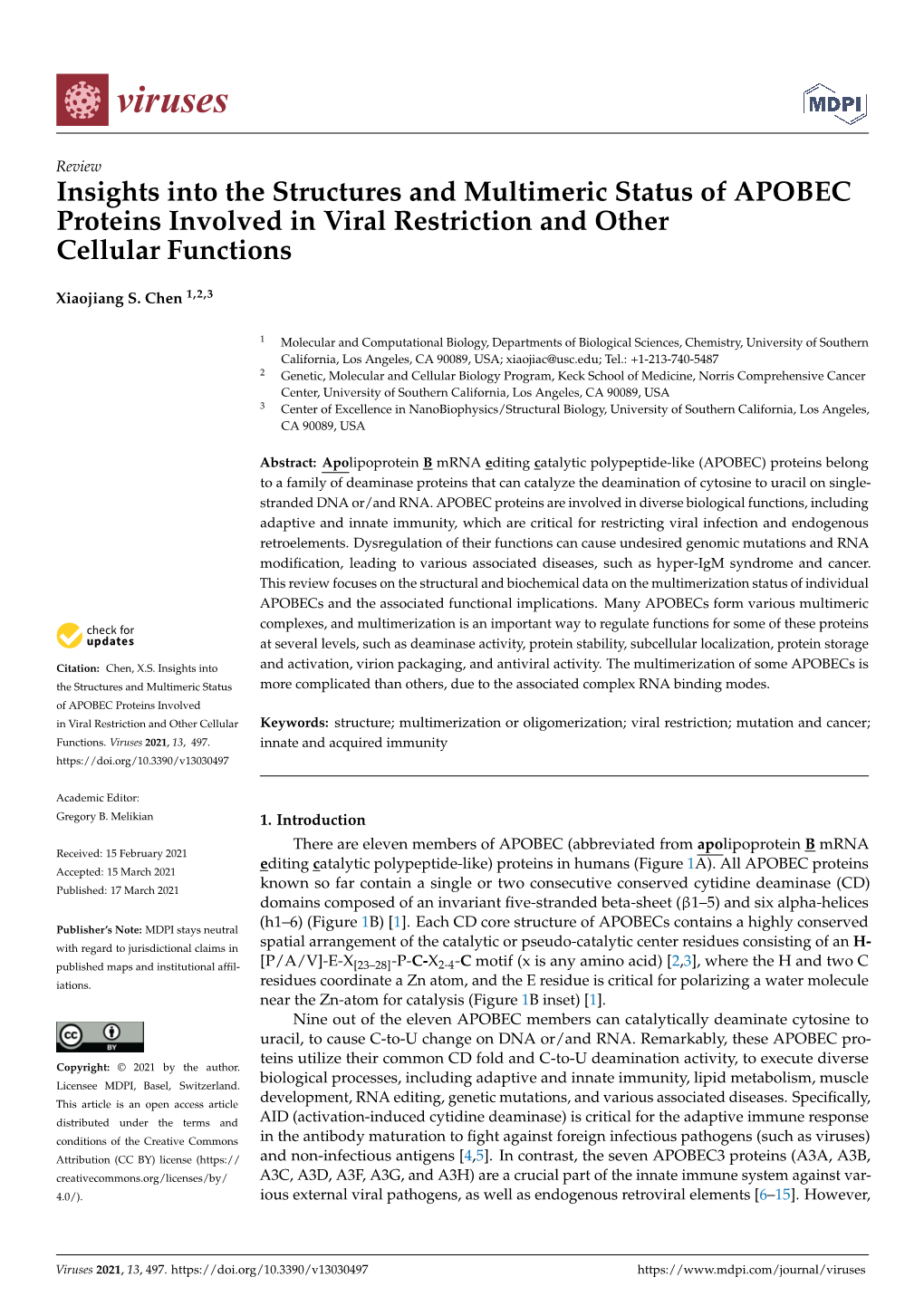 Insights Into the Structures and Multimeric Status of APOBEC Proteins Involved in Viral Restriction and Other Cellular Functions