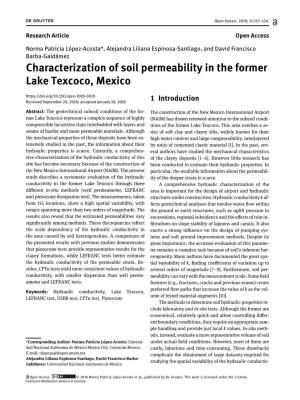 Characterization of Soil Permeability in the Former Lake Texcoco, Mexico