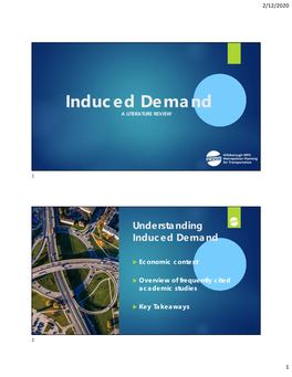 Induced Demand a LITERATURE REVIEW