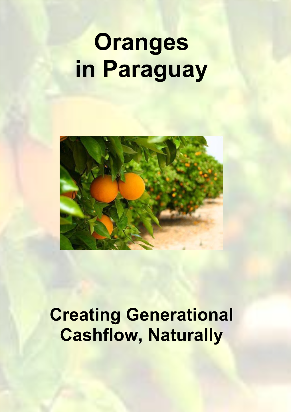 Oranges in Paraguay