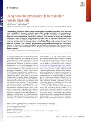 Using Hominin Introgression to Trace Modern Human Dispersals PERSPECTIVE Jo~Ao C