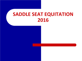 SADDLE SEAT EQUITATION 2016 Overall Look