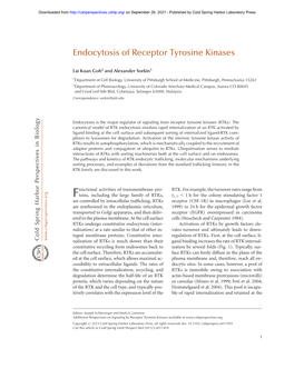 Endocytosis of Receptor Tyrosine Kinases