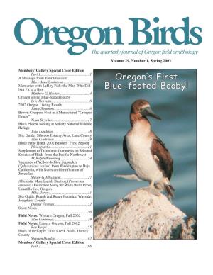 Oregon's First Blue-Footed Booby!
