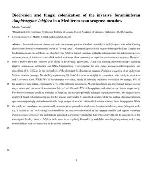 Bioerosion and Fungal Colonization of the Invasive Foraminiferan Amphistegina Lobifera in a Mediterranean Seagrass Meadow