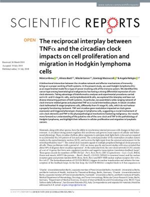 The Reciprocal Interplay Between Tnfα and the Circadian Clock