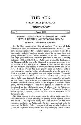 Natural History and Breeding Behavior of the Tinamou, Nothoprocta Ornata