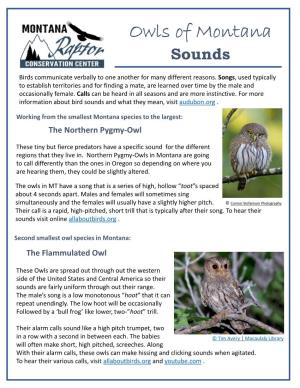 Owls of Montana Sounds