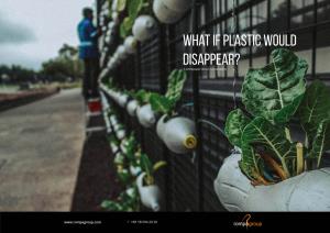 What If Plastic Would Disappear? a Whitepaper About Sustainability