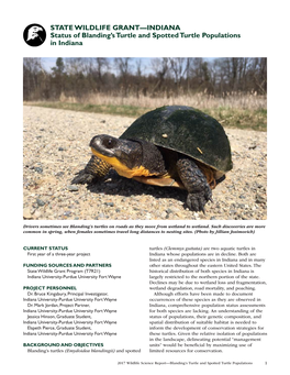 Status of Blanding's Turtle and Spotted Turtle Populations in Indiana