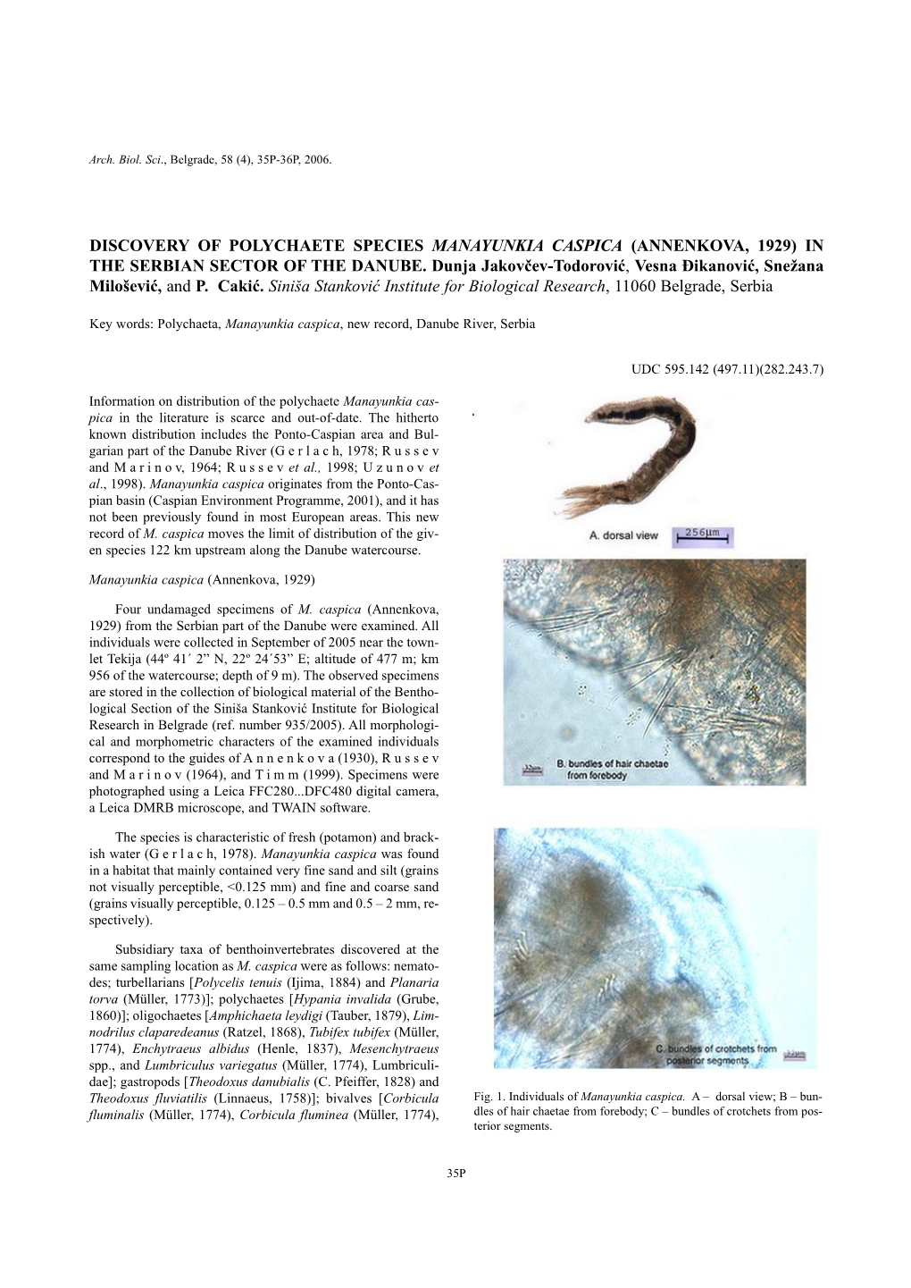 Discovery of Polychaete Species Manayunkia Caspica (Annenkova, 1929) in the Serbian Sector of the Danube