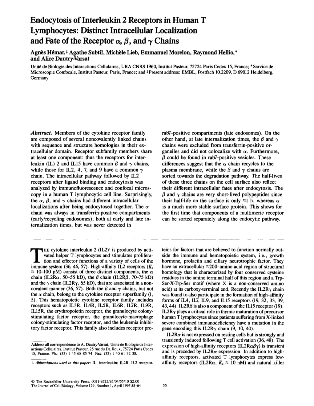 Endocytosis of Interleukin 2 Receptors in Human T