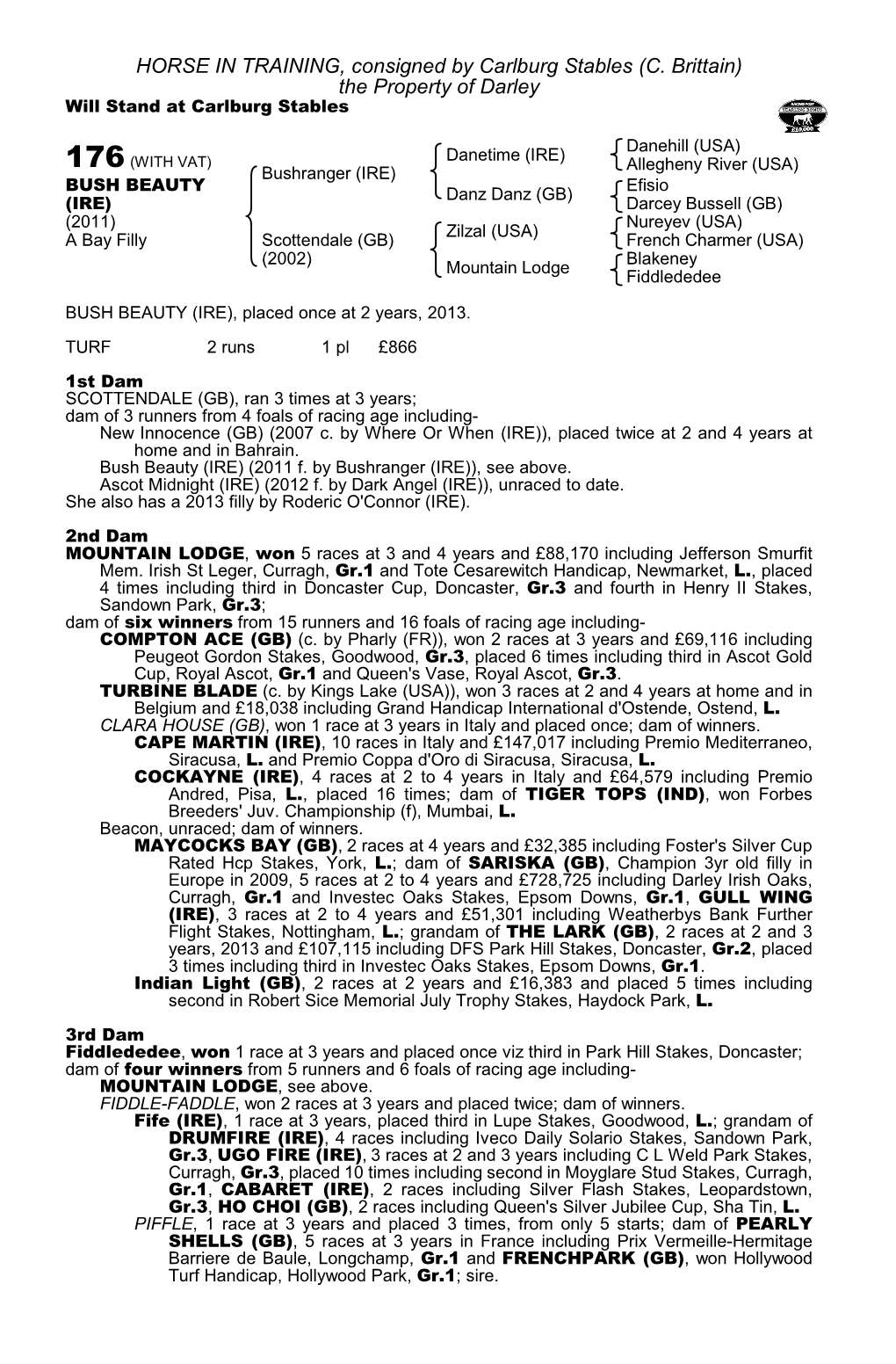 HORSE in TRAINING, Consigned by Carlburg Stables (C. Brittain) the Property of Darley Will Stand at Carlburg Stables