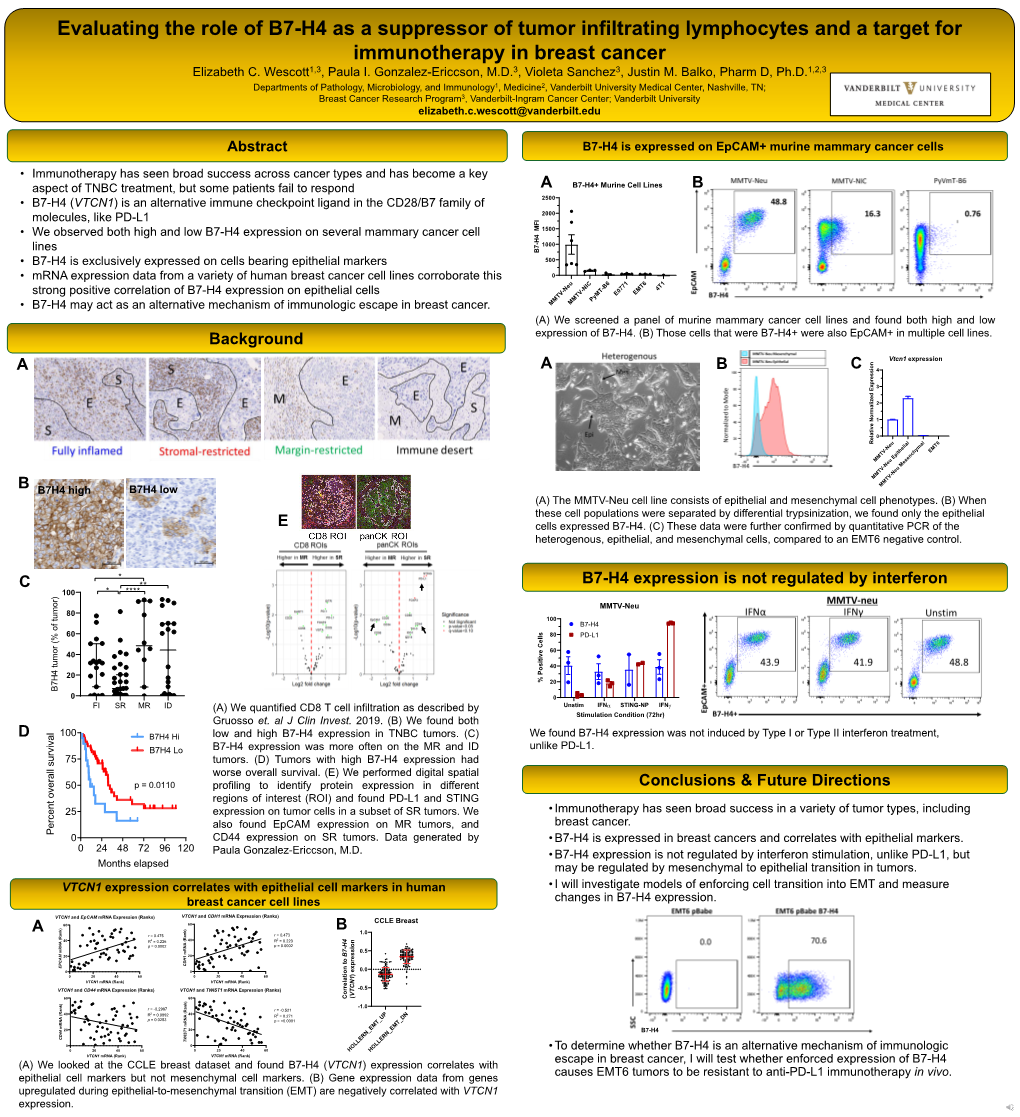 Evaluating the Role of B7-H4 As a Suppressor of Tumor Infiltrating Lymphocytes and a Target for Immunotherapy in Breast Cancer Elizabeth C