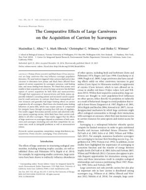 The Comparative Effects of Large Carnivores on the Acquisition of Carrion by Scavengers