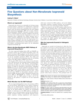 Five Questions About Non-Mevalonate Isoprenoid Biosynthesis