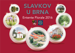 Portfolio of Slavkov U Brna