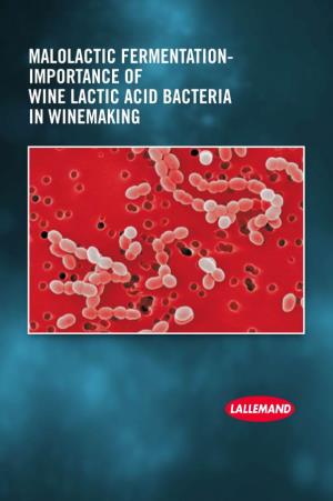 Malolactic Fermentation- Importance of Wine Lactic Acid Bacteria in Winemaking