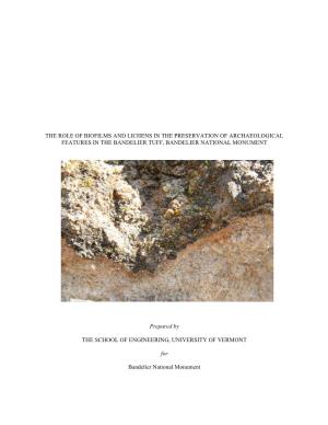 The Role of Biofilms and Lichens in the Preservation of Archaeological Features in the Bandelier Tuff, Bandelier National Monument