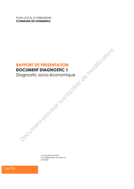 RAPPORT DE PRESENTATION DOCUMENT DIAGNOSTIC 1 Diagnostic Socio-Économique