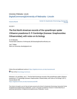 Araneae: Gnaphosoidea: Cithaeronidae), with Notes on Its Biology